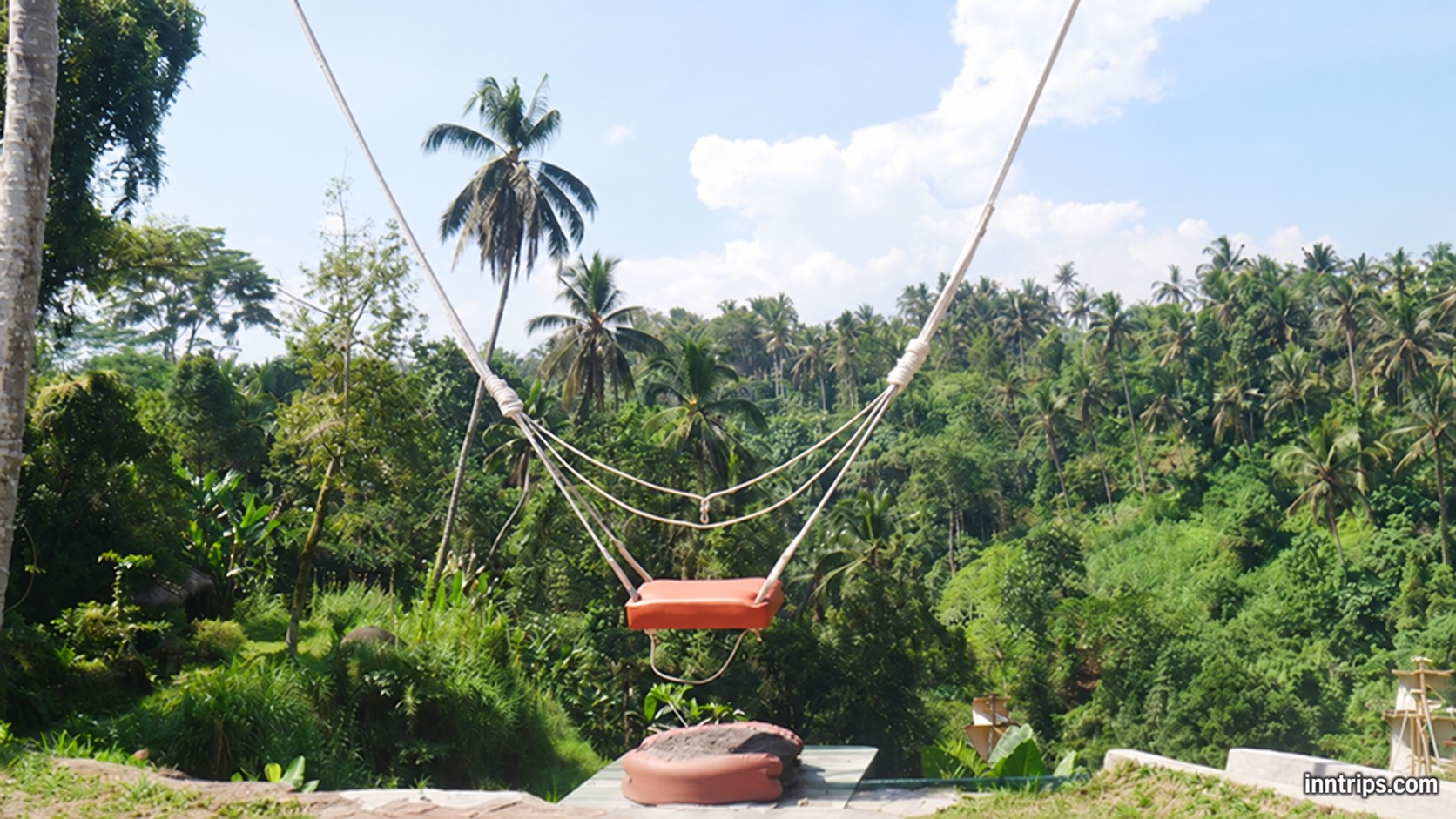 Single Swing