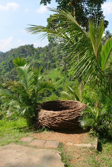 A few more Ubud memories