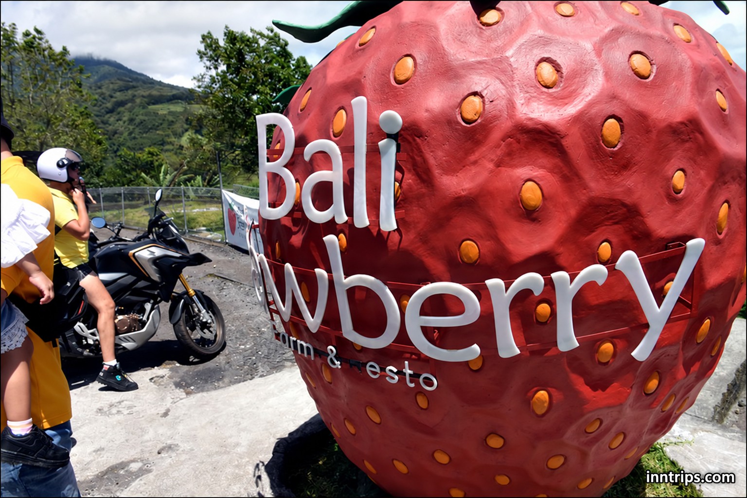 The strawberry stop in the Bedugul highlands