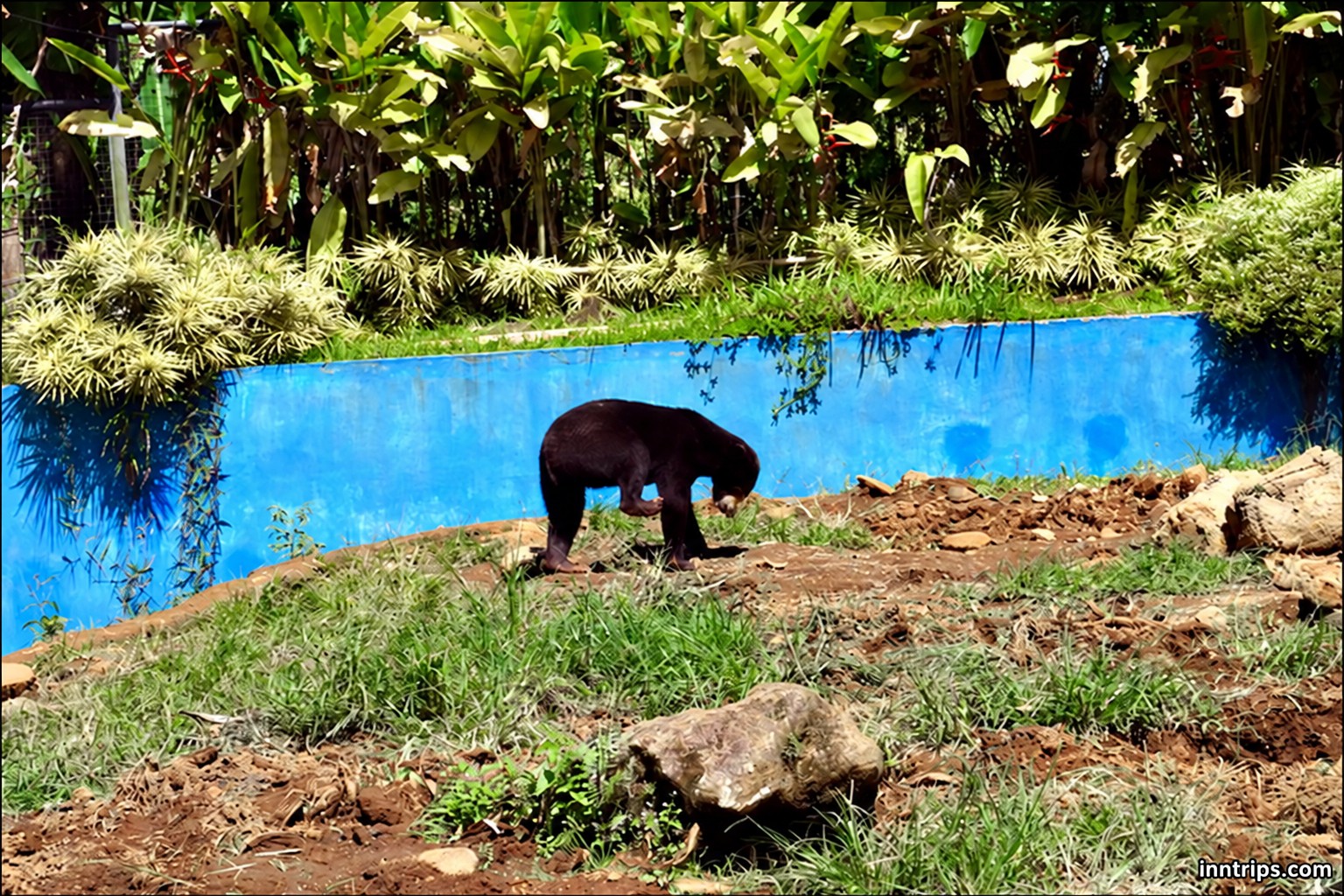 An animal enclosure at Tasta Wildlife Park