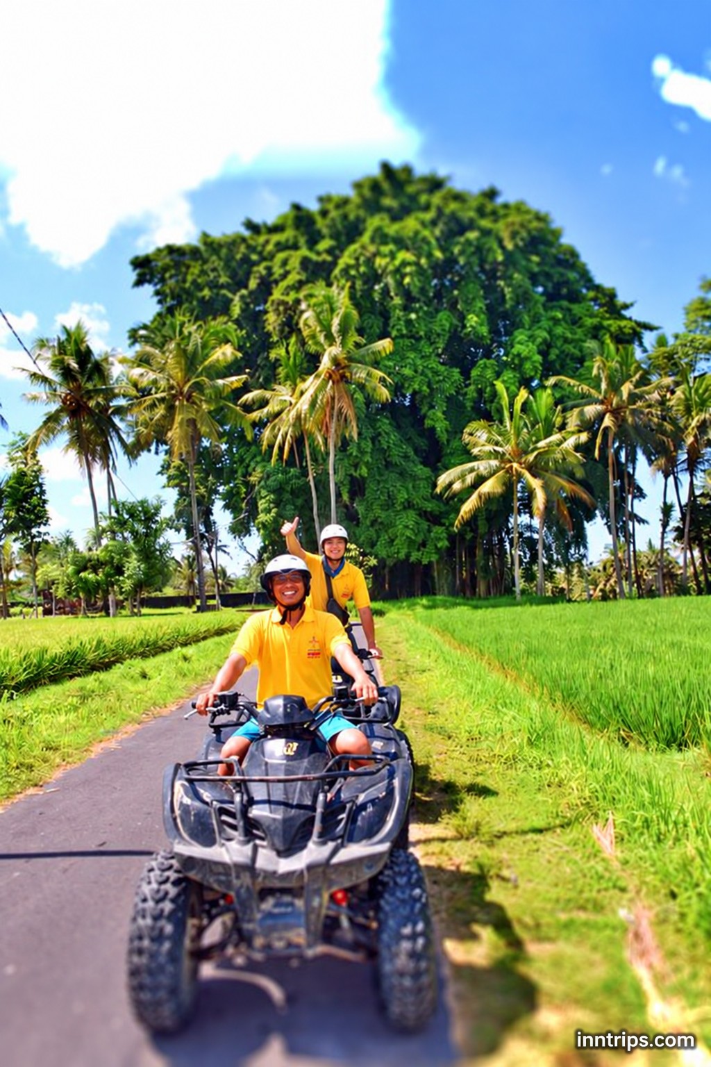Into Ubud’s green trails