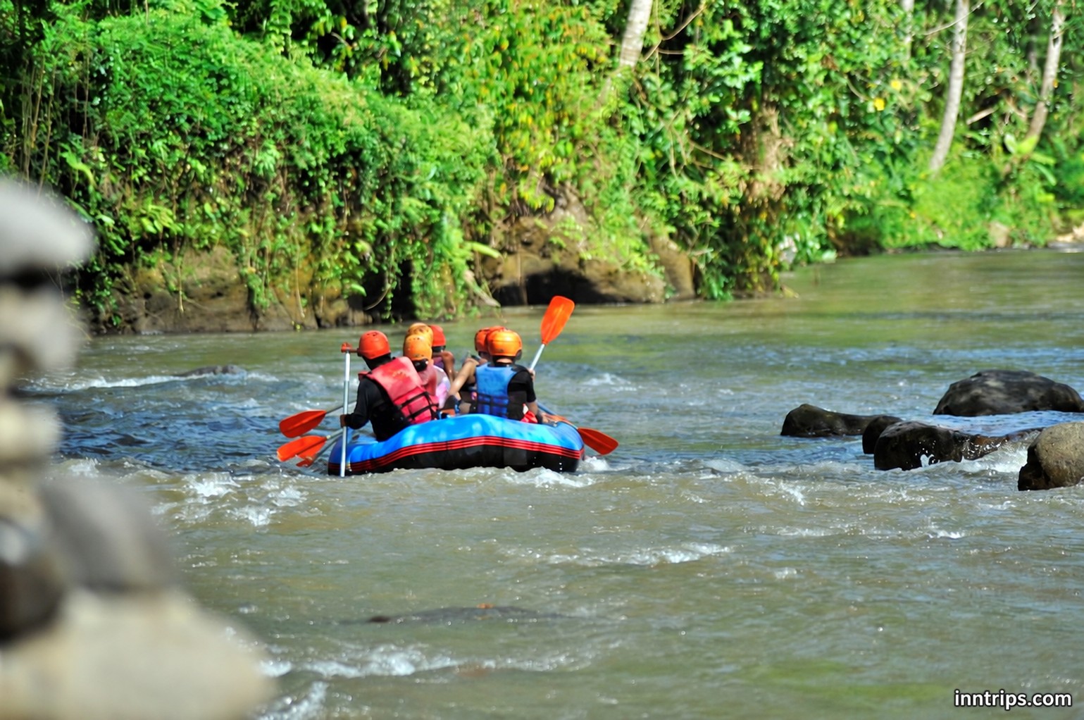 Paddle through tropical Ubud