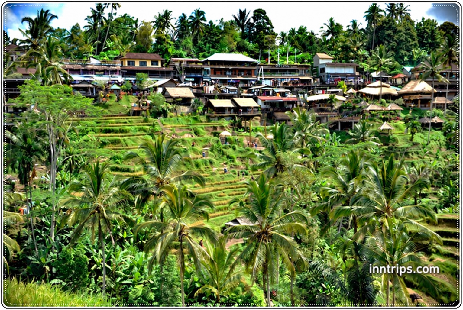 Tegallalang rice terraces and hillside views