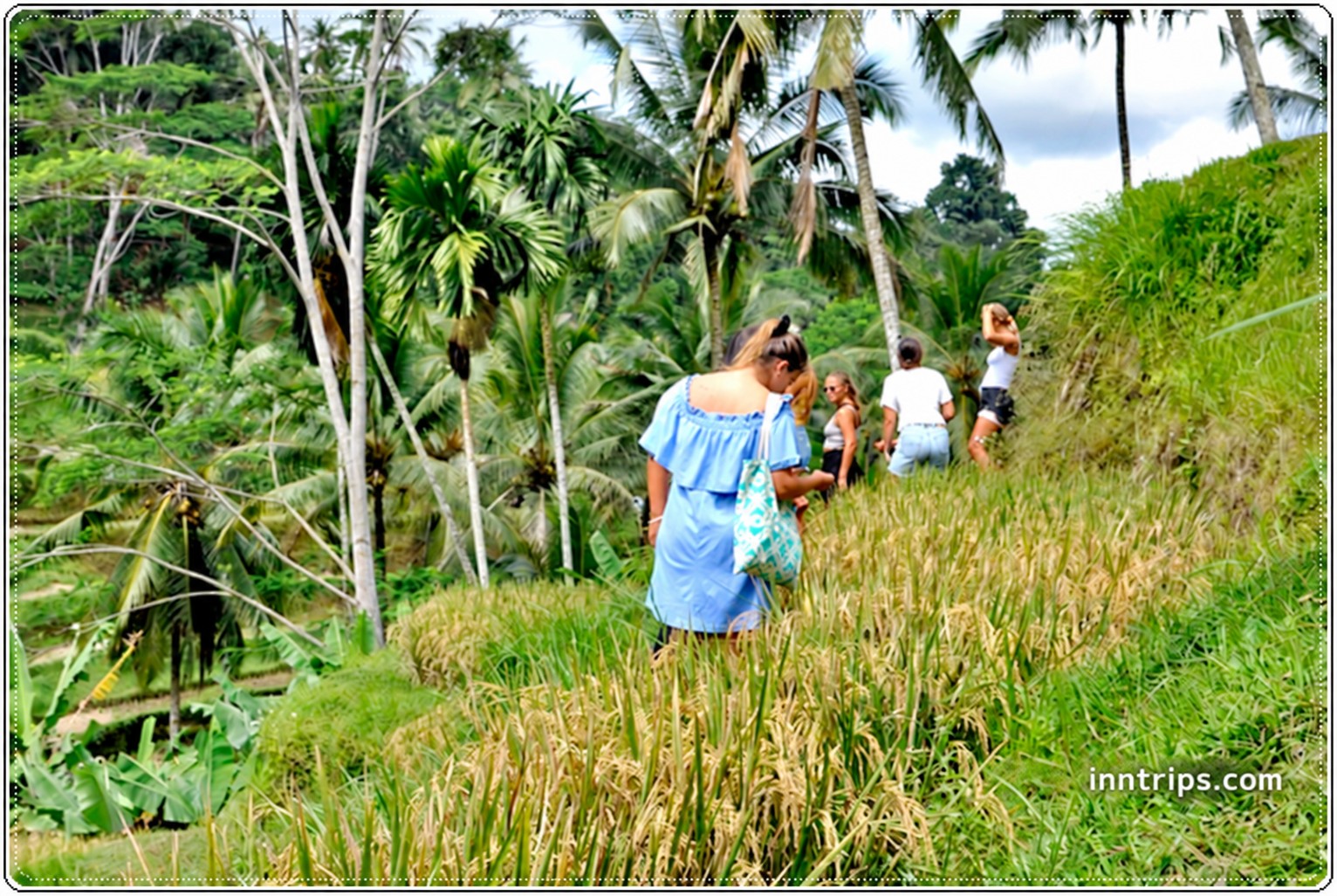 A closer look at the rice-terrace paths