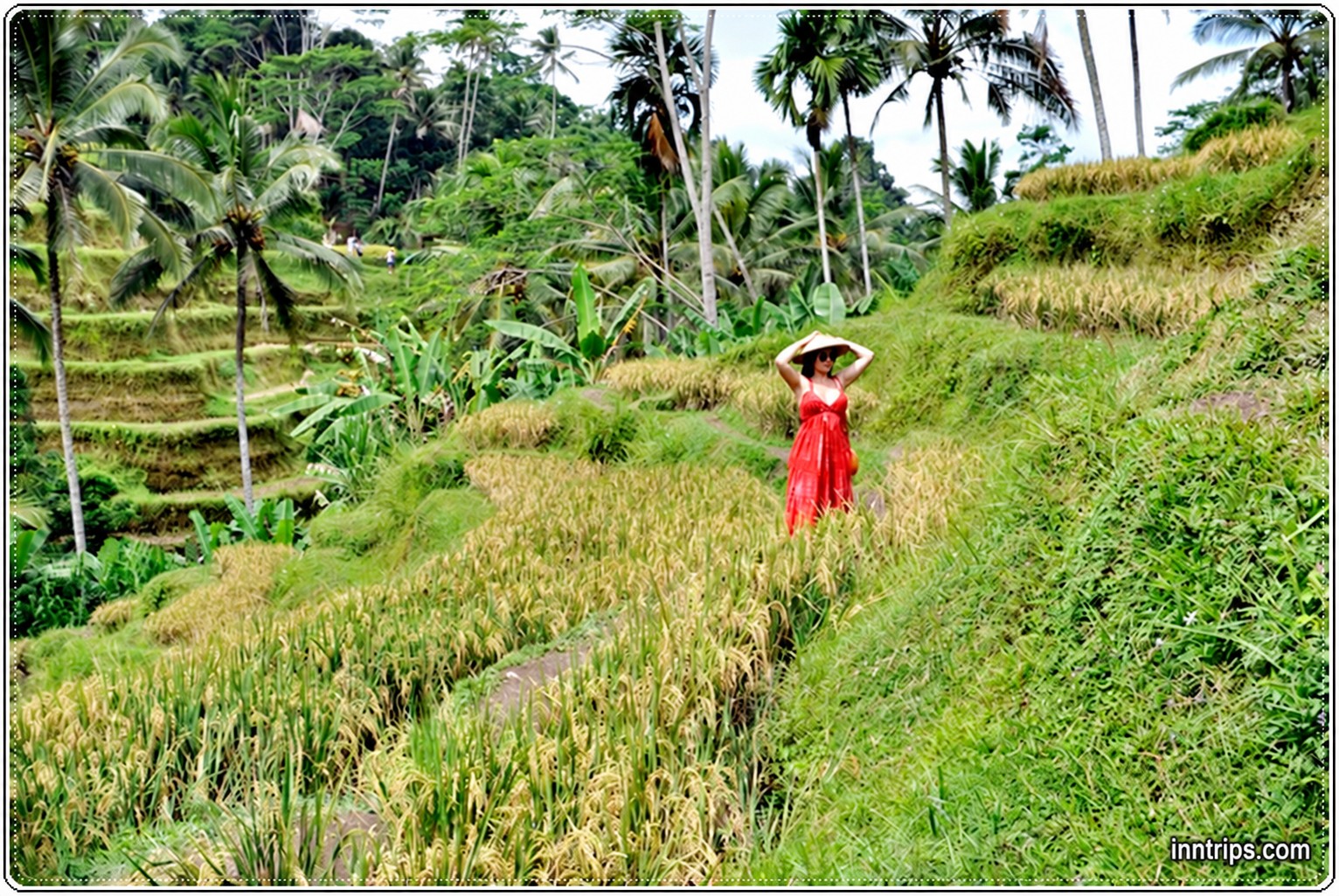 Walk into Ubud’s green scenery