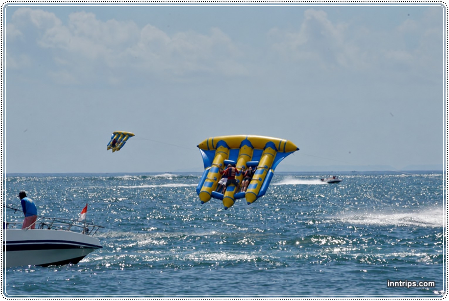 The flying-fish ride above the water