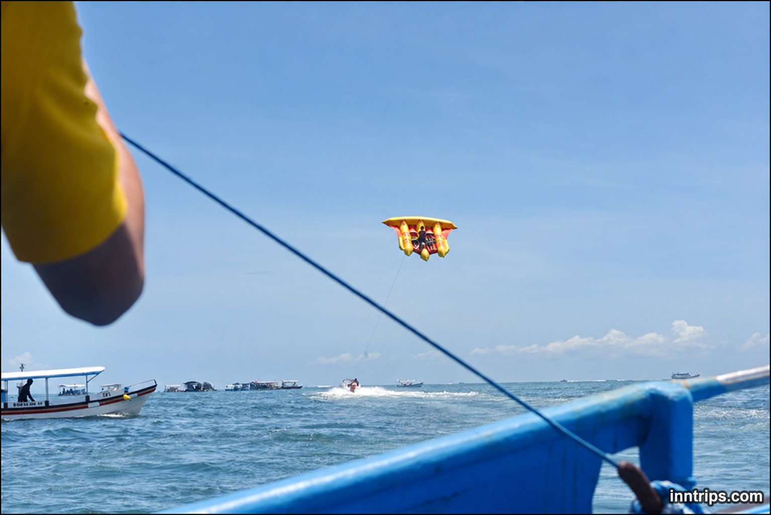 A view of flying fish from the boat
