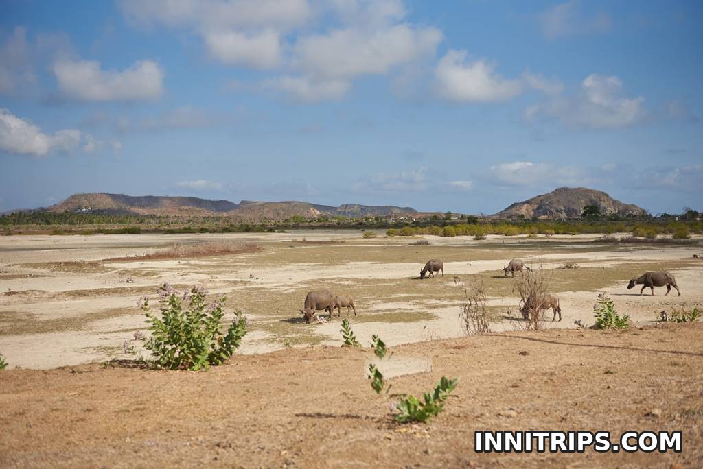 Tanjung Aan Beach · Lombok photo tour image 25