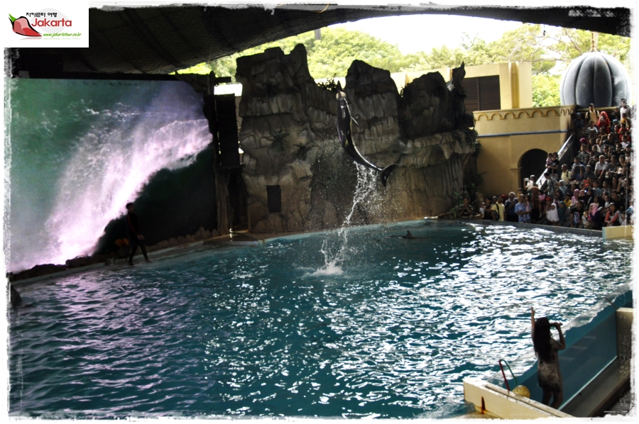 Ocean Dream Samudra Ancol — photograph 10