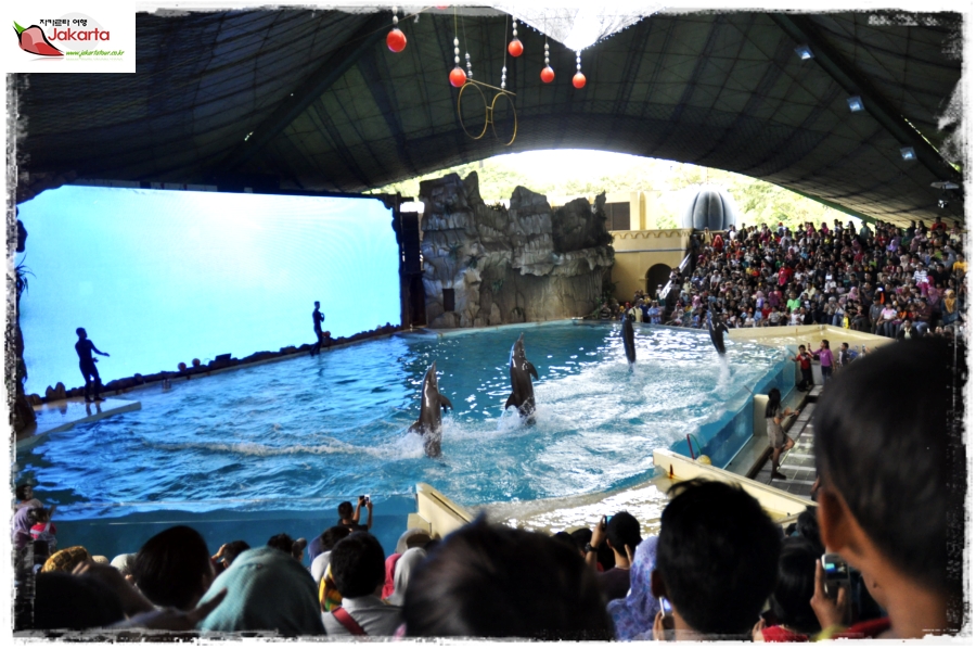 Ocean Dream Samudra Ancol — photograph 11