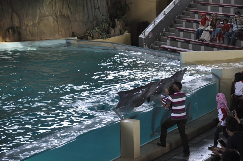 Ocean Dream Samudra Ancol — photograph 12