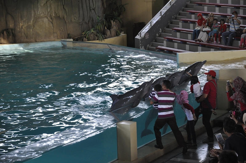 Ocean Dream Samudra Ancol — photograph 13