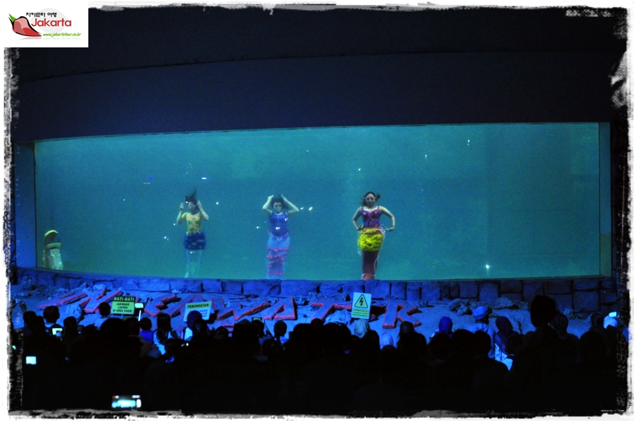 Ocean Dream Samudra Ancol — photograph 17