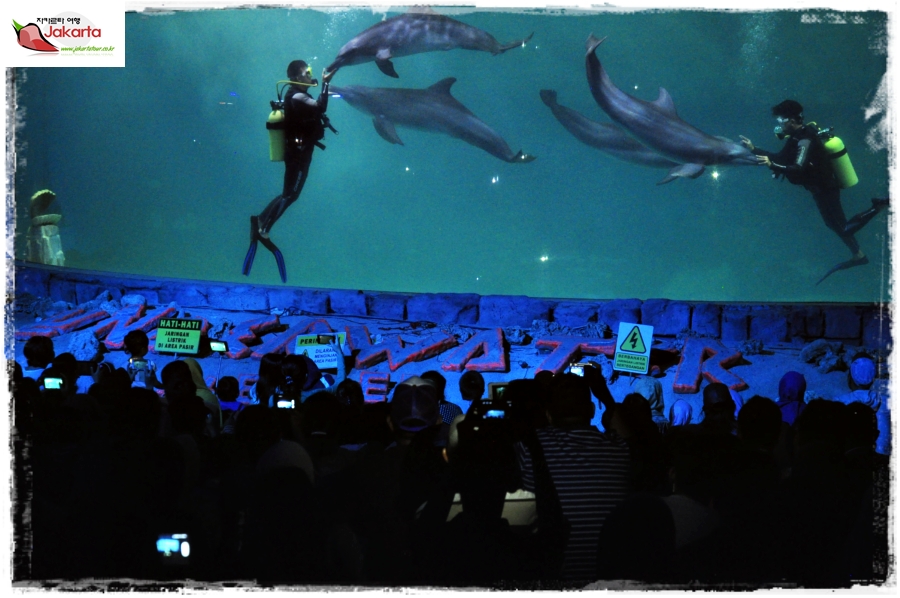 Ocean Dream Samudra Ancol — photograph 18