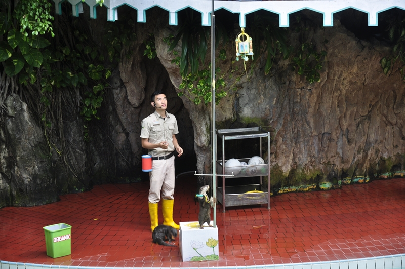 Ocean Dream Samudra Ancol — photograph 22