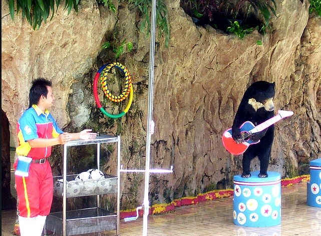 Ocean Dream Samudra Ancol — photograph 24