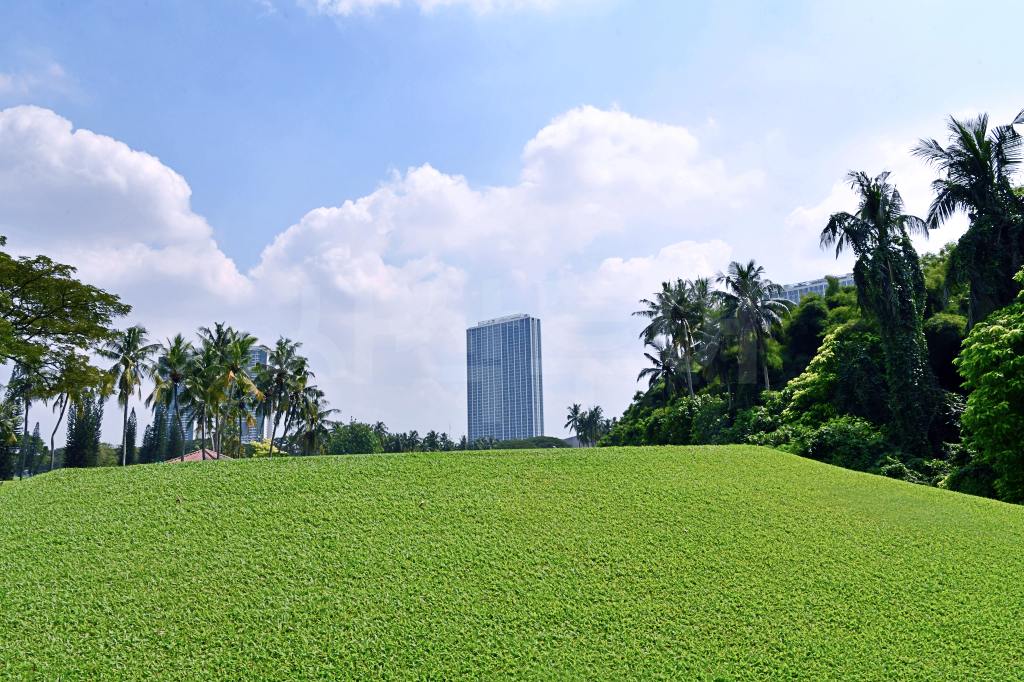 Imperial Klub Golf — original image 12