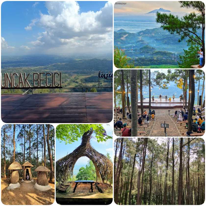 Hutan Becici — Yogyakarta tour photo