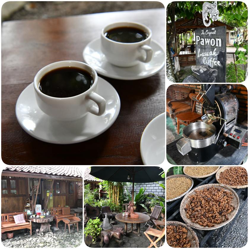Pawon Temple and luwak coffee — Yogyakarta tour photo