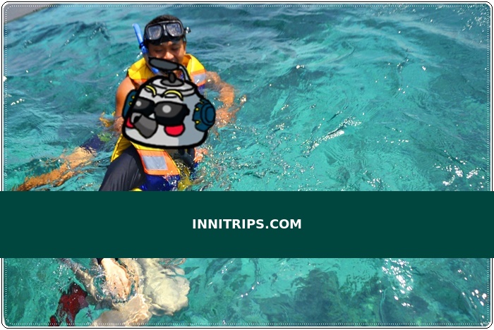 Turtle snorkeling point · photo 11