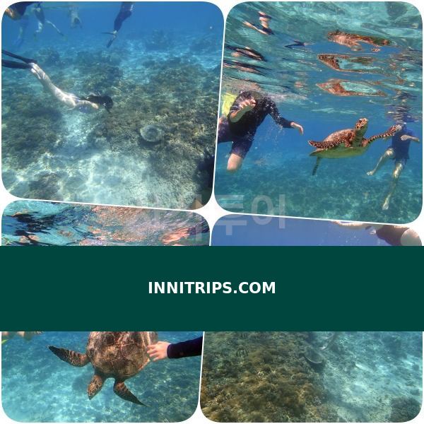 Turtle snorkeling point · photo 14