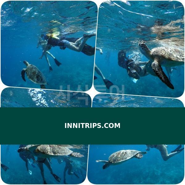 Turtle snorkeling point · photo 20