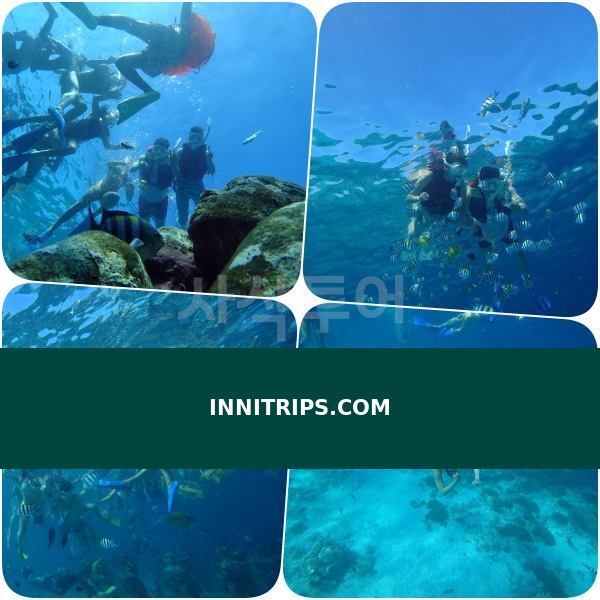 Gili Meno underwater statues · photo 26