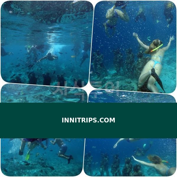 Gili Meno underwater statues · photo 28