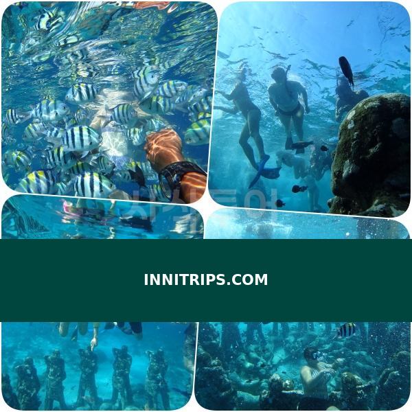 Gili Meno underwater statues · photo 31