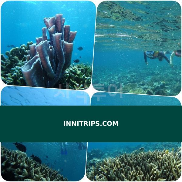 Gili Indah coral area · photo 33