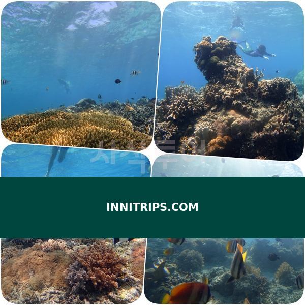 Gili Indah coral area · photo 34