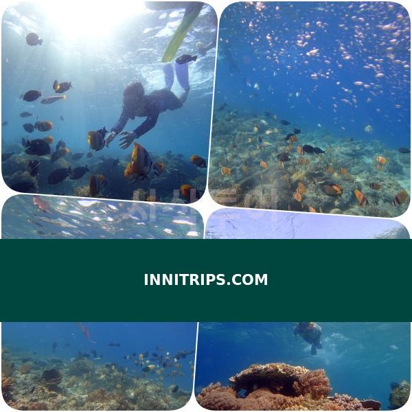 Gili Indah coral area · photo 35