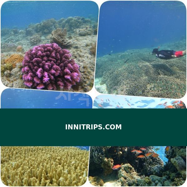 Gili Indah coral area · photo 36