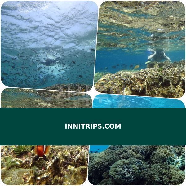 Gili Indah coral area · photo 37