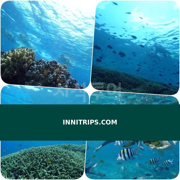Gili Indah coral area · photo 38