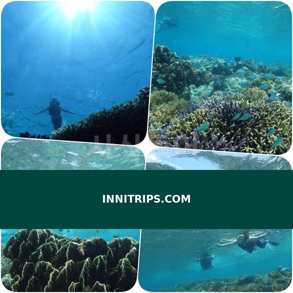 Gili Indah coral area · photo 39