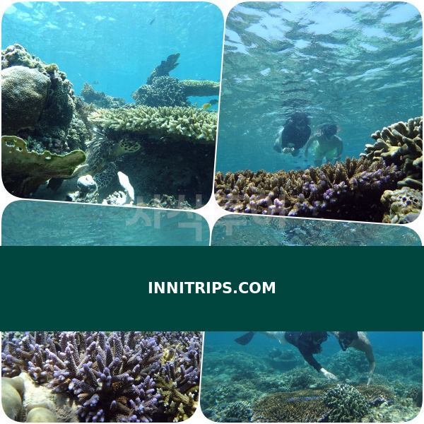 Gili Indah coral area · photo 40
