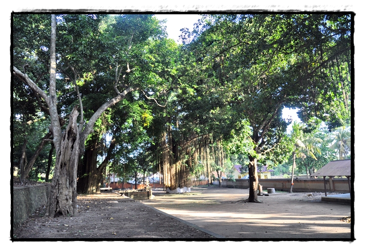 Pura Gunung Pengsong — island, landscape and visitor photographs 2