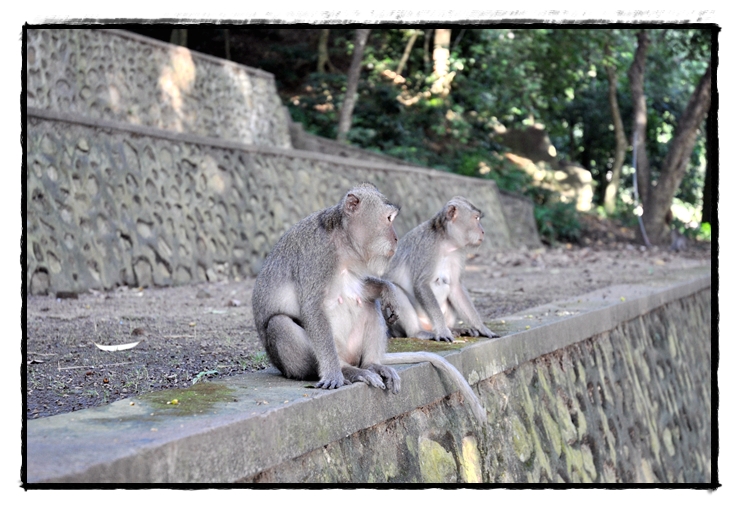 Pura Gunung Pengsong — island, landscape and visitor photographs 3