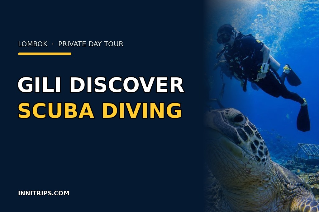 Gili Discover Scuba Diving · Two Guided Dives · Innitrips.com tour preview