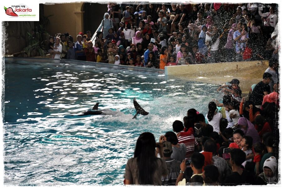 Ocean Dream Samudra Ancol — travel photo 5