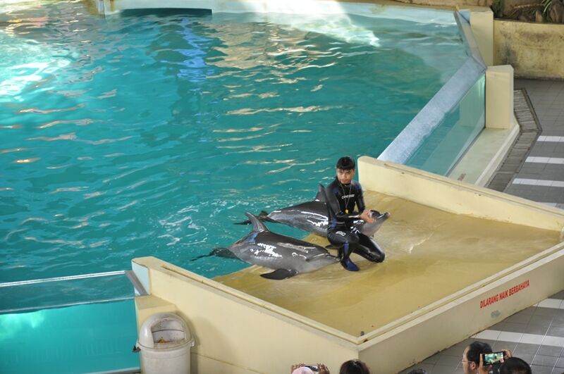 Ocean Dream Samudra Ancol — travel photo 8