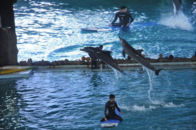 Ocean Dream Samudra Ancol — travel photo 9
