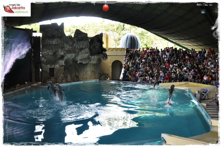 Ocean Dream Samudra Ancol — travel photo 10