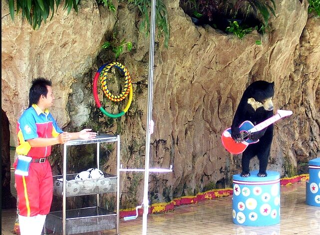 Ocean Dream Samudra Ancol — travel photo 25