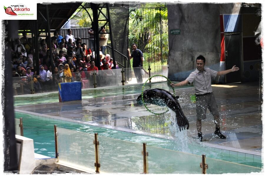 Ocean Dream Samudra Ancol — travel photo 31