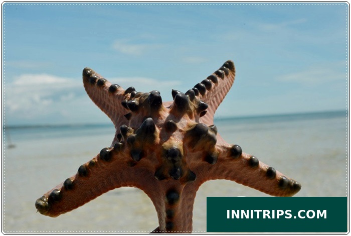 Gili Pasir sandbar · photo 9