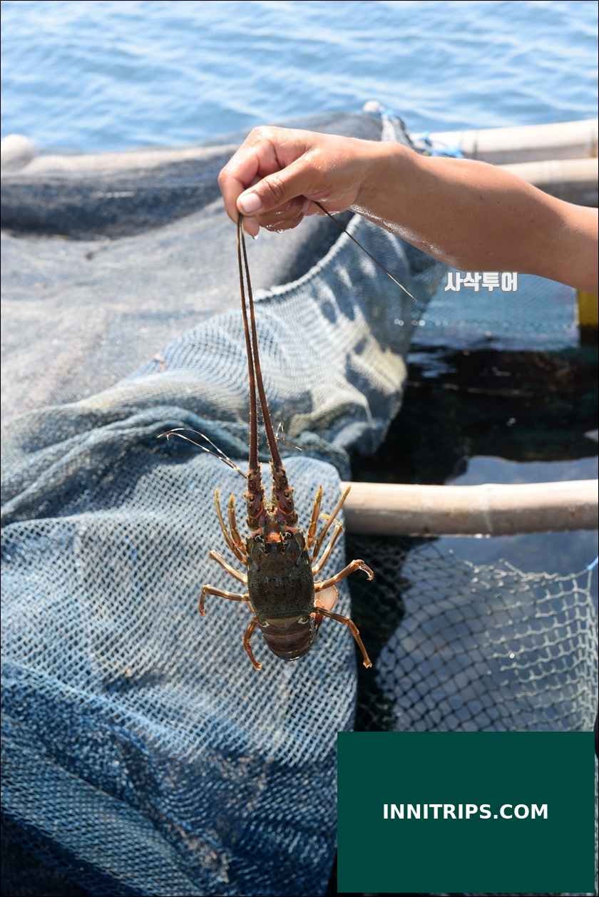 Optional lobster-farm visit · photo 18