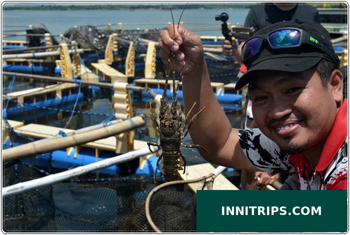 Optional lobster-farm visit · photo 19