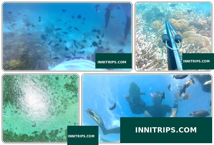 Pulau Tiga · Snorkeling · photo 32